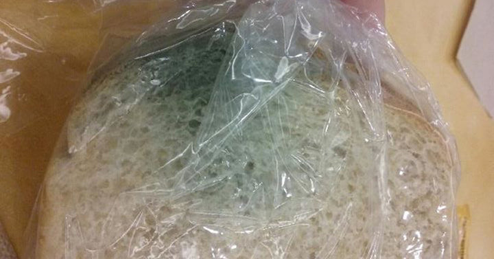 moldy sandwich FI