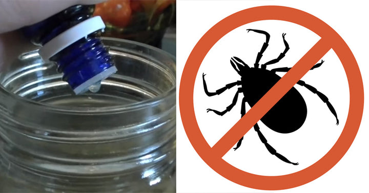 natural bug spray FI