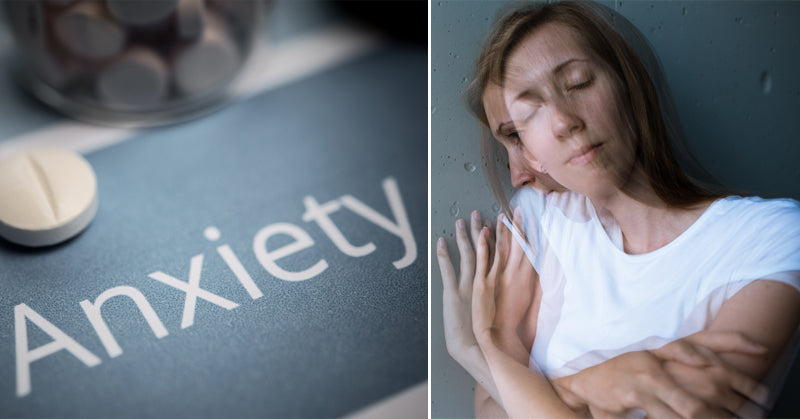 nutrient L-theanine anxiety FI