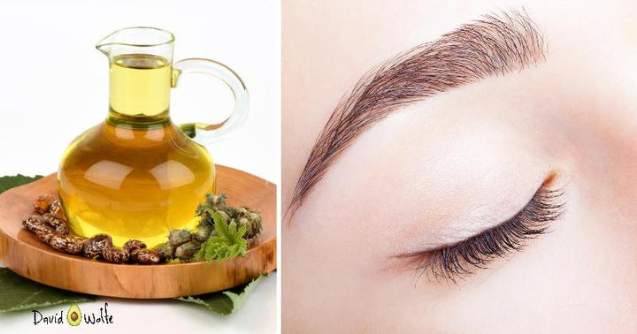 oil eyebrows