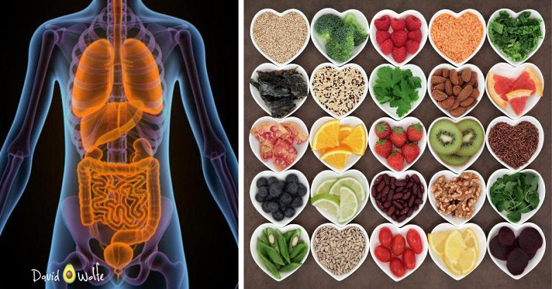 organ detox