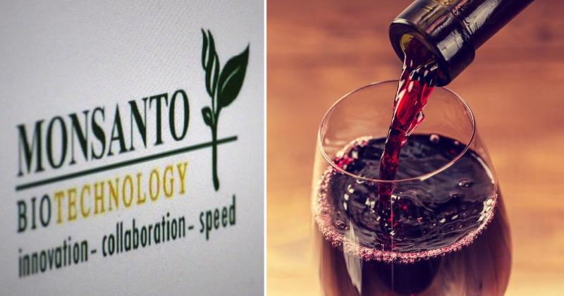 pesticide wine FI
