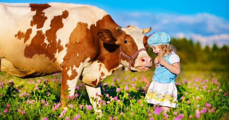 pet kid health FI02