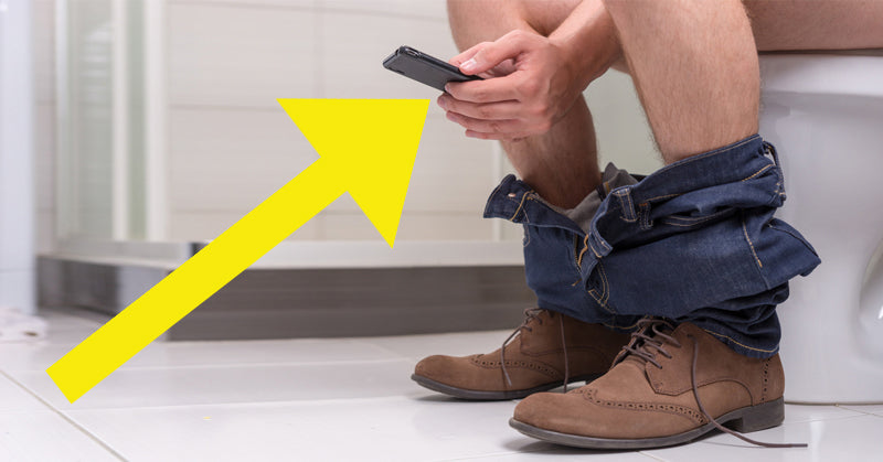 phone toilet FI