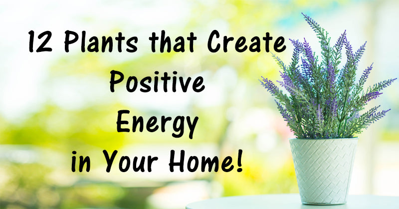 plants positive FI