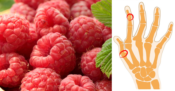 Raspberry Nutrition: 6 Benefits & Uses