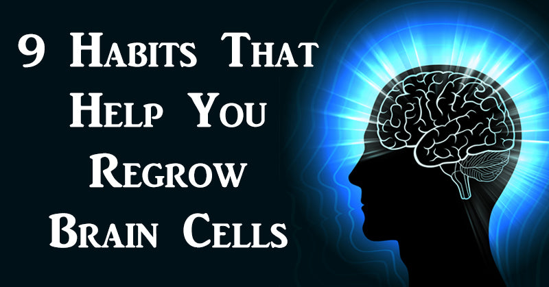 regrow brain cells FI