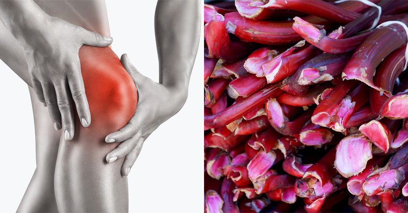 Rhubarb: 6 Benefits & Uses