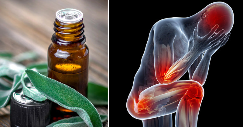 Sage Essential Oil: 15 Health Benefits