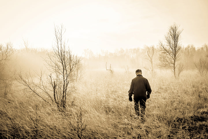 shutterstock_235447486 death of leisurely stroll FI