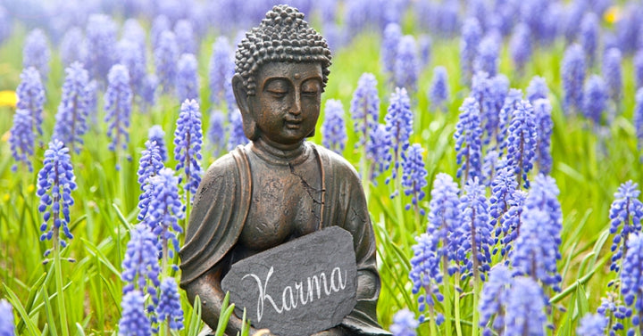 shutterstock_248382364 good karma FI