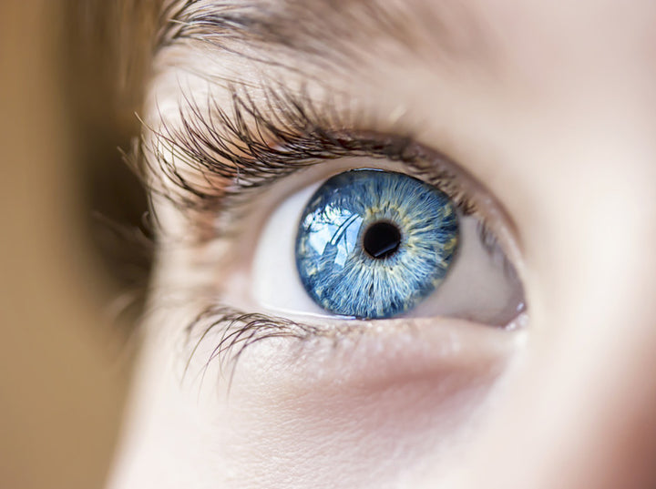 shutterstock_250827028