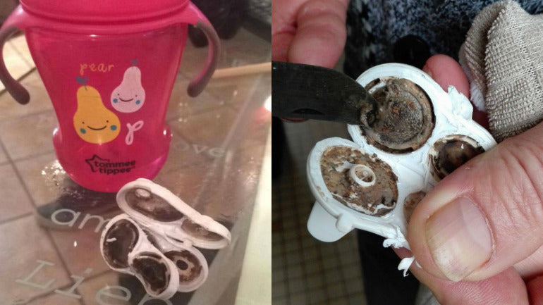 sippy cup mold