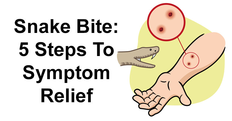 Snake Bite: 5 Steps To Symptom Relief