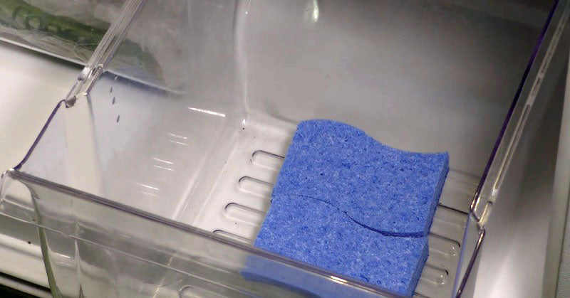 sponges fridge FI-1