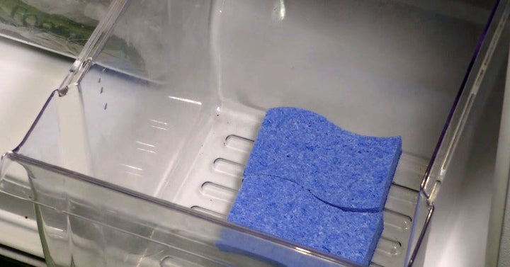 sponges fridge FI-1