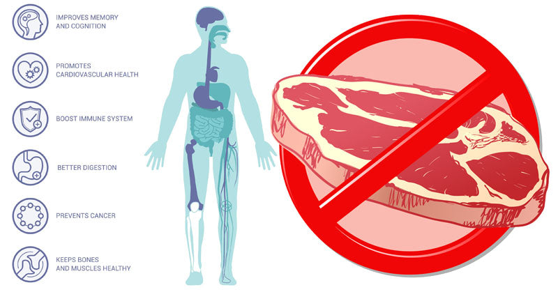 stop eating meat FI