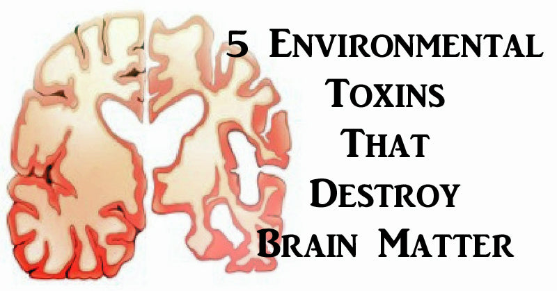 toxins brain FI