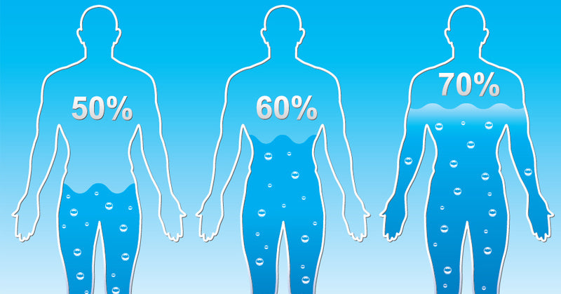 water body weight FI