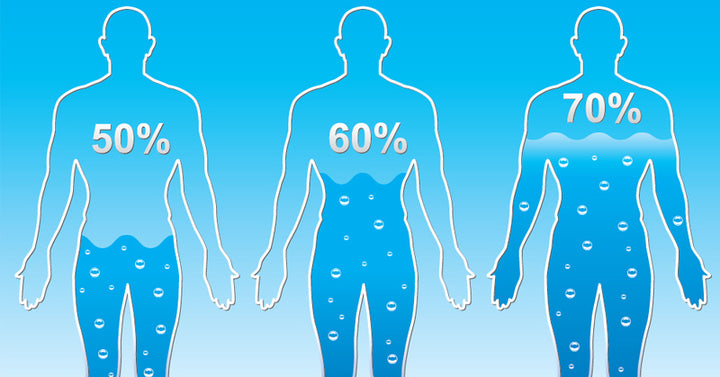 water body weight FI