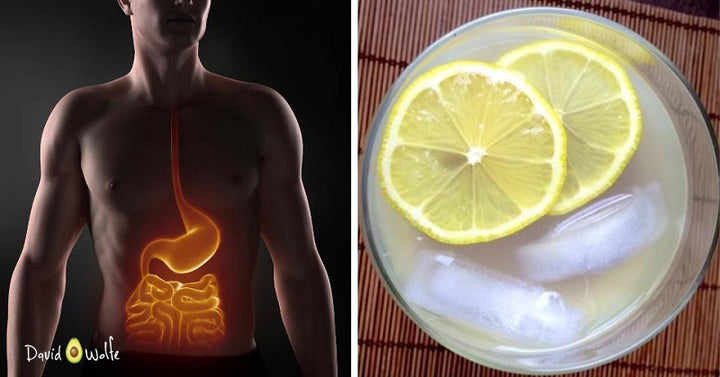 water kefir FI