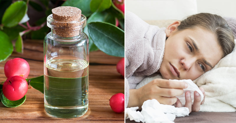 wintergreen oil FI