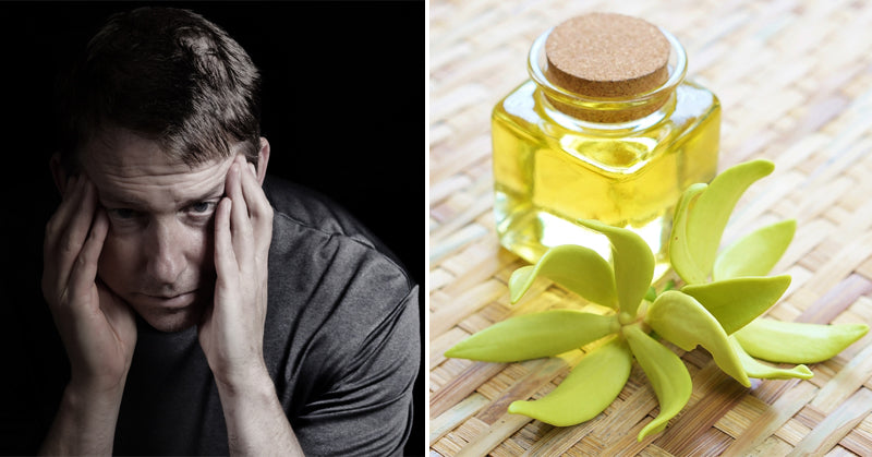 ylang ylang essential oil FI