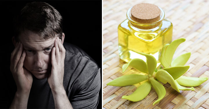 ylang ylang essential oil FI