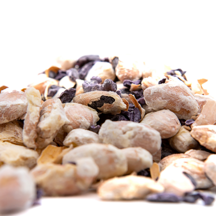 NoniLand Freeze-Dried Cacao Beans with Pulp 1/2 lb. (8 oz)
