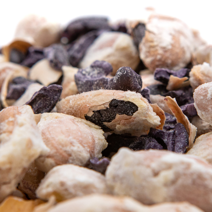 NoniLand Freeze-Dried Cacao Beans with Pulp 1/2 lb. (8 oz)