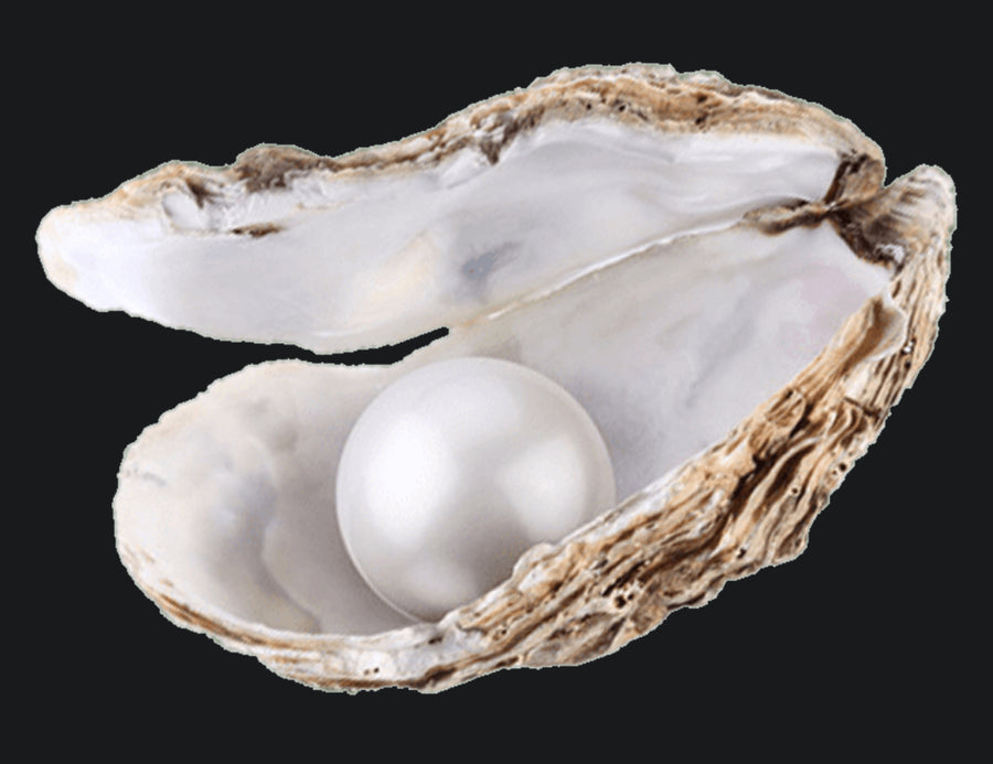 Pearlcium Pearl Powder
