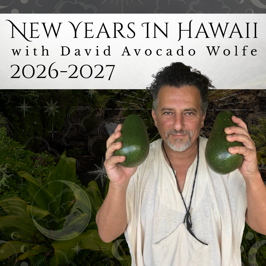 New Years In Hawaii with David Avocado Wolfe 2026-2027