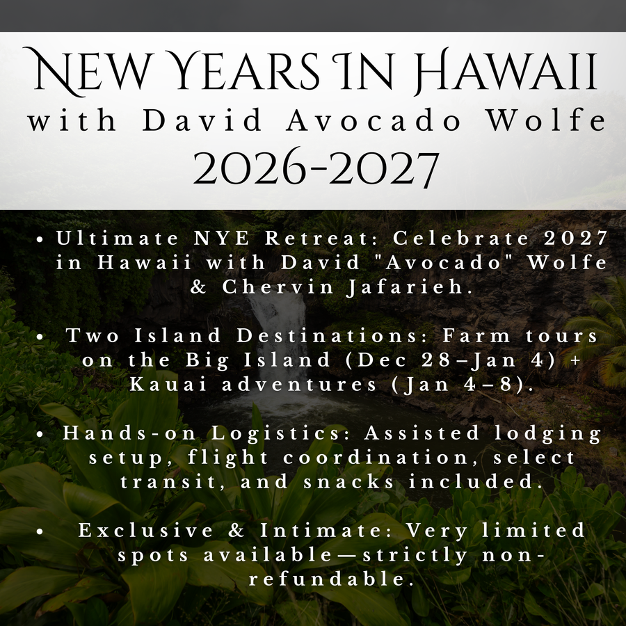 New Years In Hawaii with David Avocado Wolfe 2026-2027
