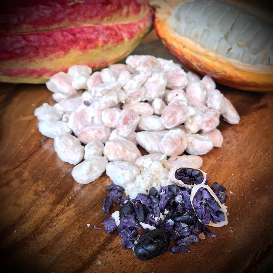 NoniLand Freeze-Dried Cacao Beans with Pulp 1/2 lb. (8 oz)