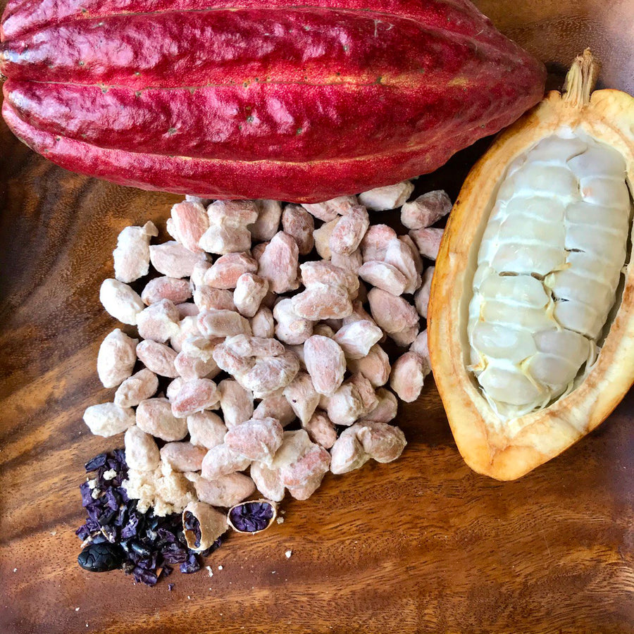 NoniLand Freeze-Dried Cacao Beans with Pulp 1/2 lb. (8 oz)