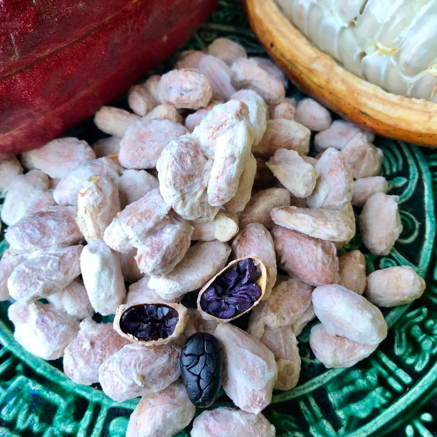 NoniLand Freeze-Dried Cacao Beans with Pulp 1/2 lb. (8 oz)