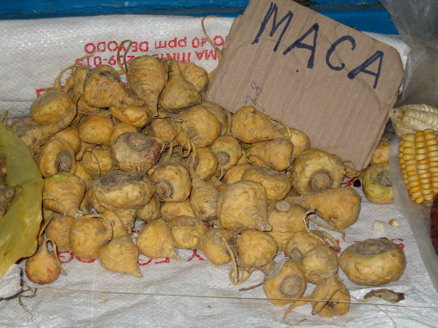 Organic Maca Powder