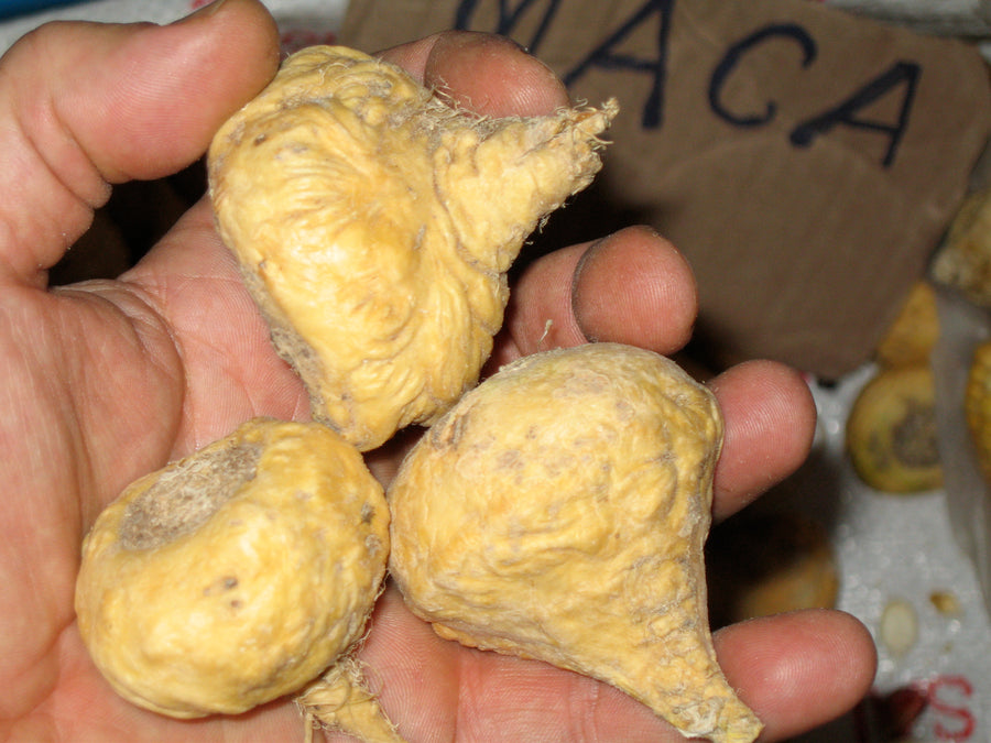 Organic Maca Powder