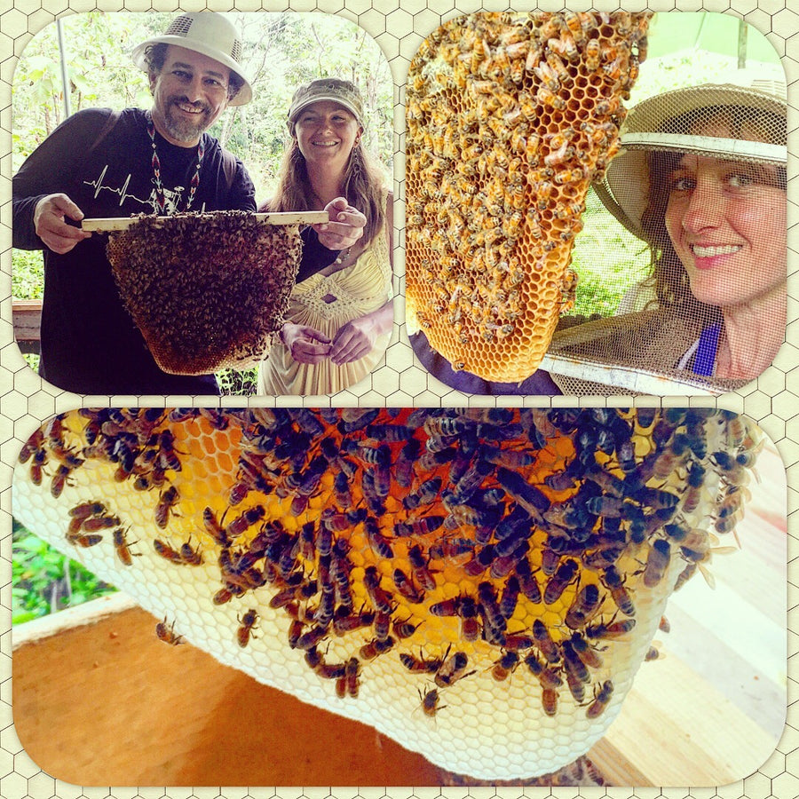 NoniLand Black-Red Honey (Raw, Unheated, Unprocessed)
