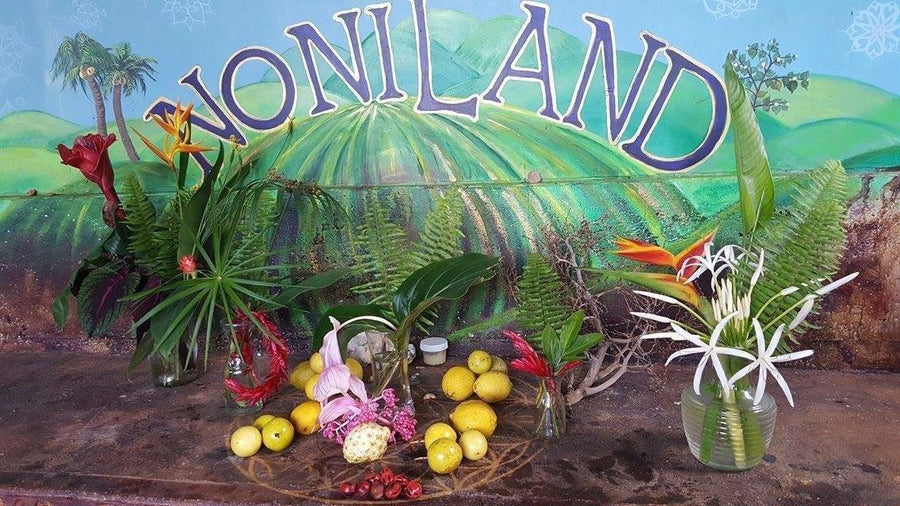 NoniLand Black-Red Honey (Raw, Unheated, Unprocessed)