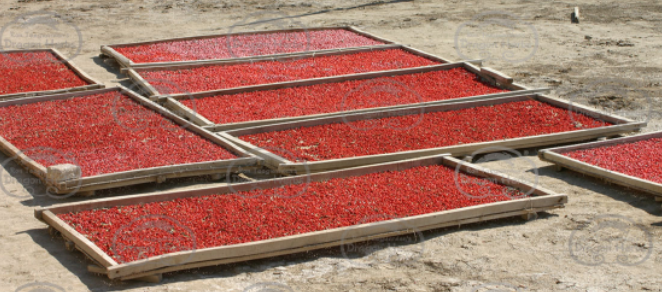 Heaven Mountain Goji Berries