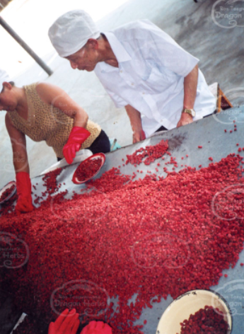 Heaven Mountain Goji Berries