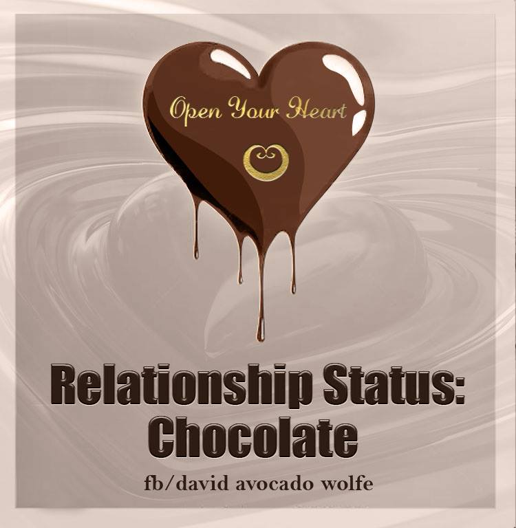 Certified 100% Organic Upper Amazonian Raw Cacao Paste