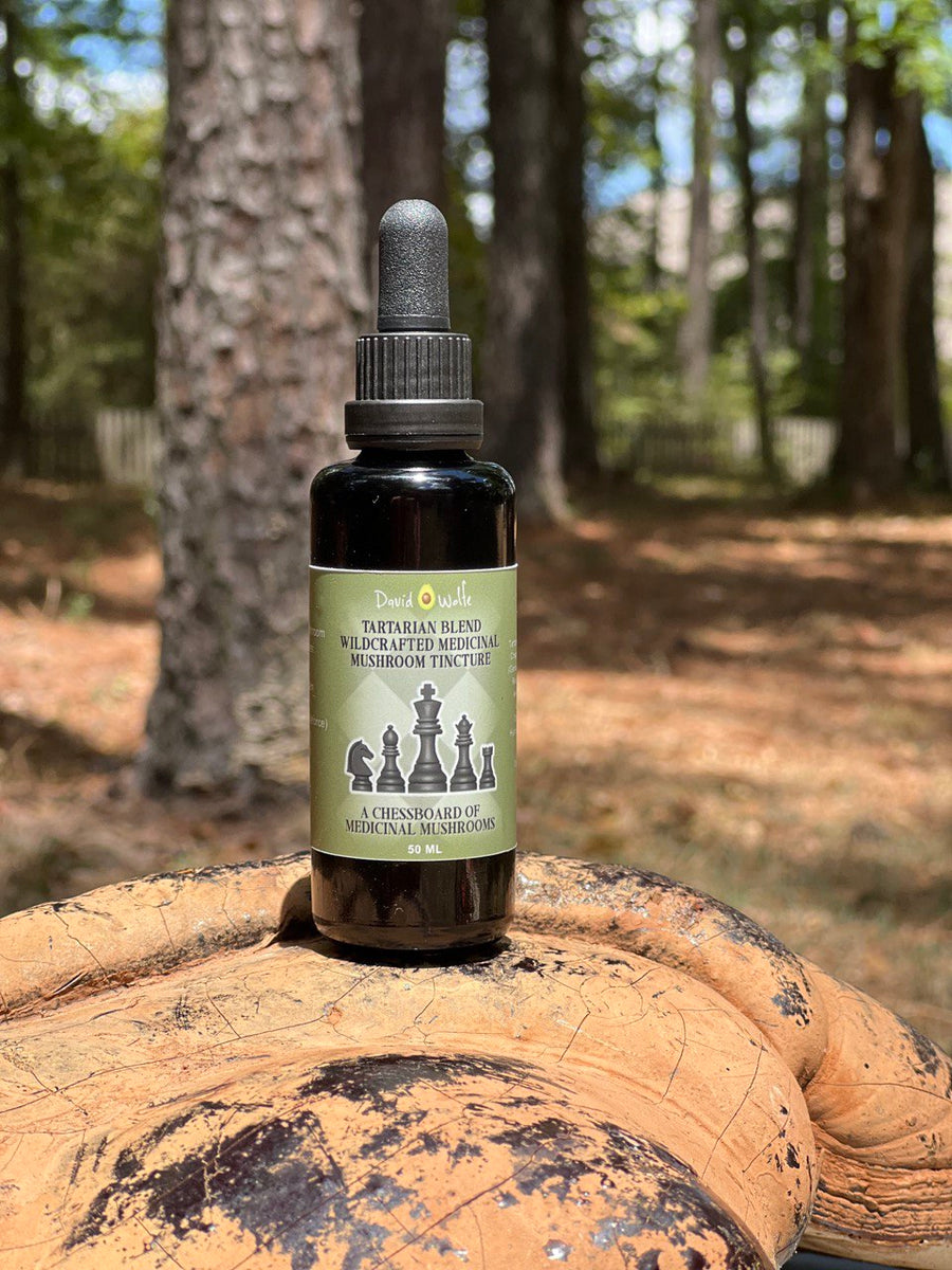 Tartarian Mushroom Blend Tincture (50mL)