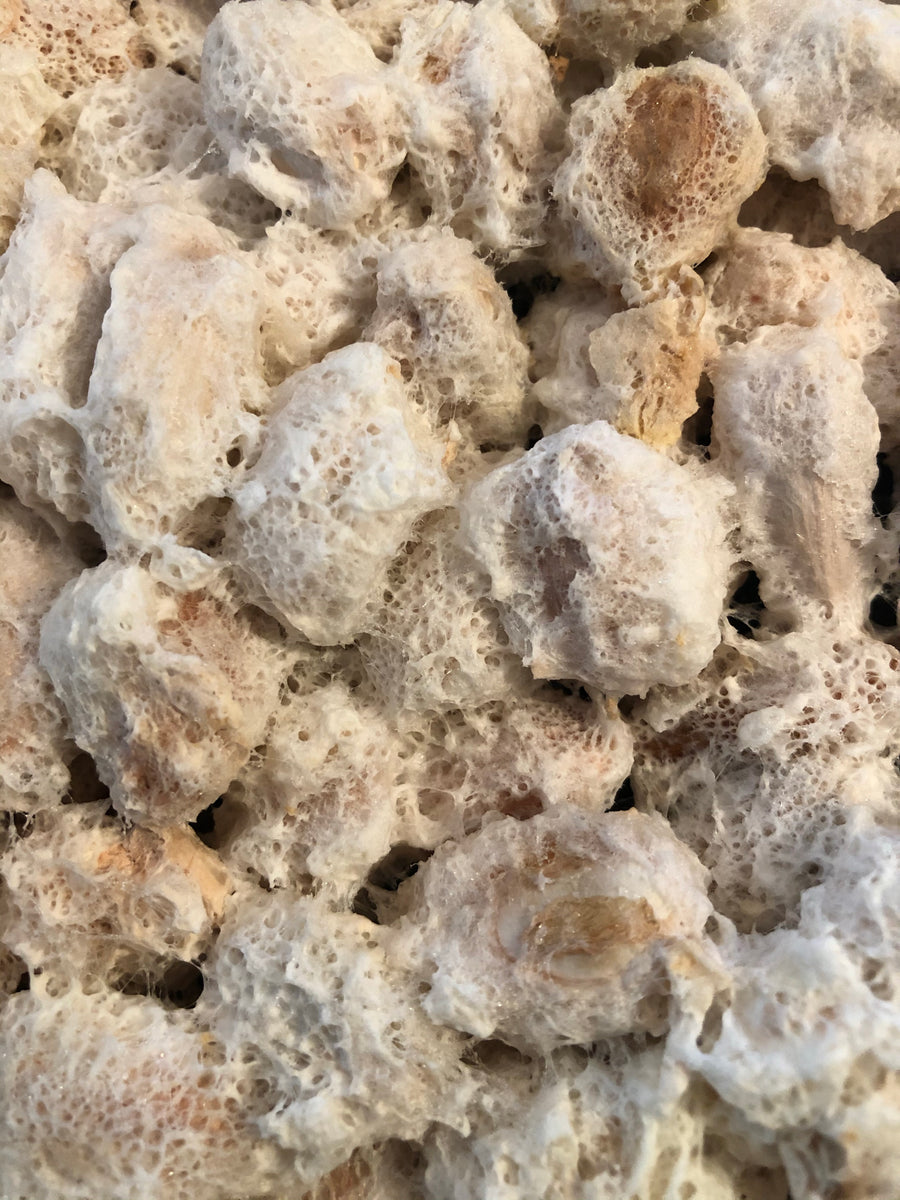 NoniLand Freeze-Dried Cacao Beans with Pulp 1/2 lb. (8 oz)