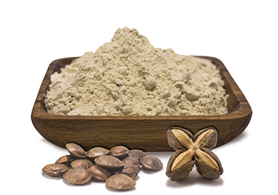 Sacha Inchi Protein Powder