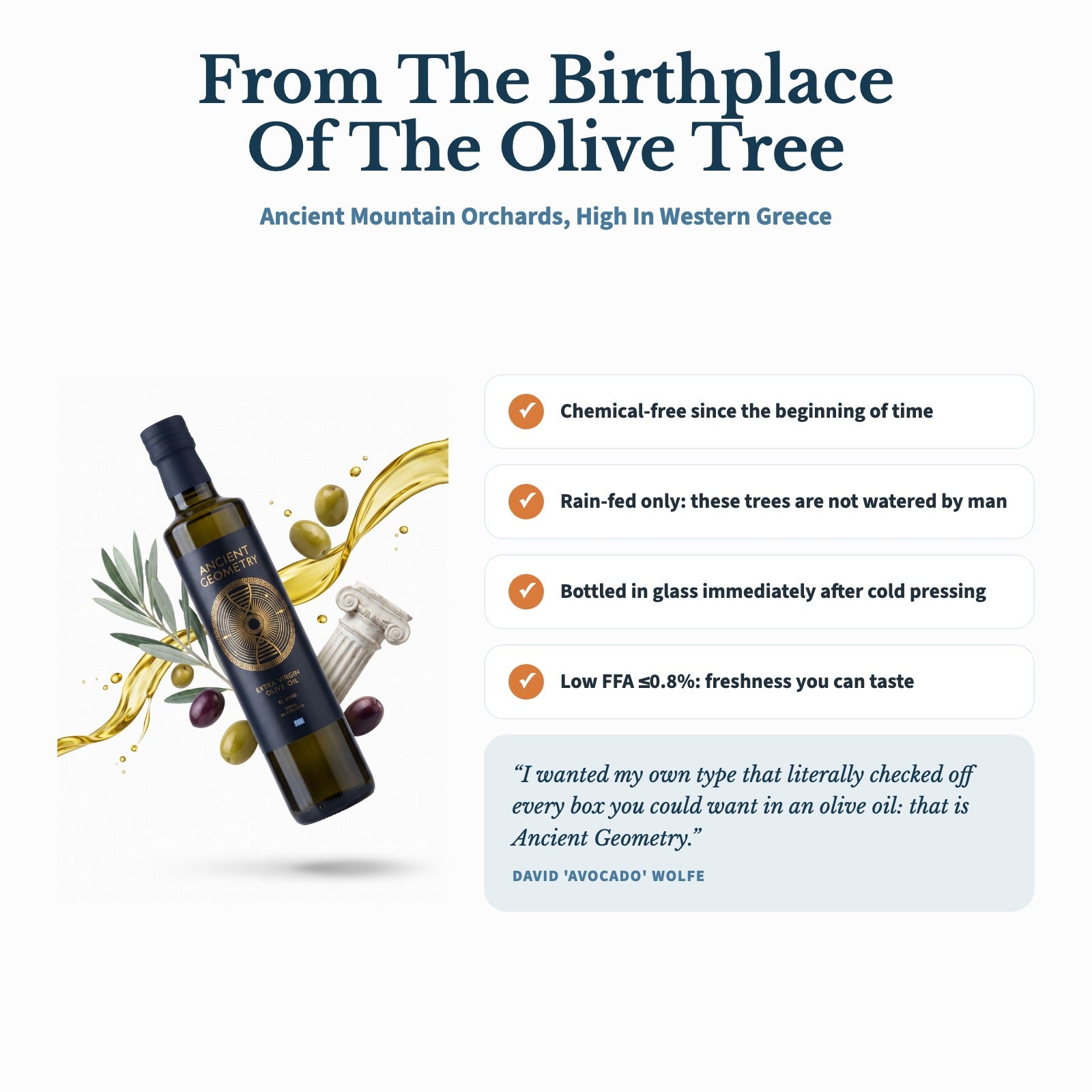 Ancient Geometry Olive Oil detail