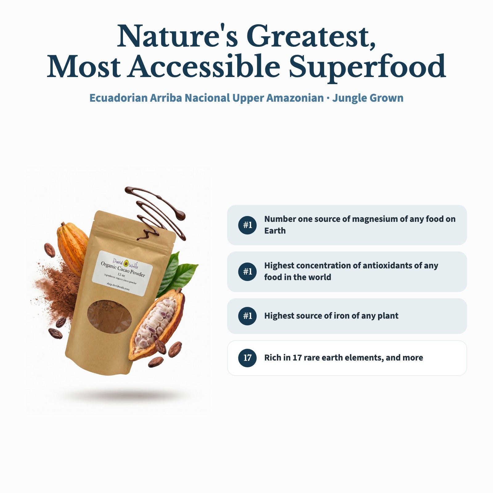 Raw Cacao Powder: Ecuadorian Arriba Nacional Upper Amazonian, 100% Organic (12 oz.) detail