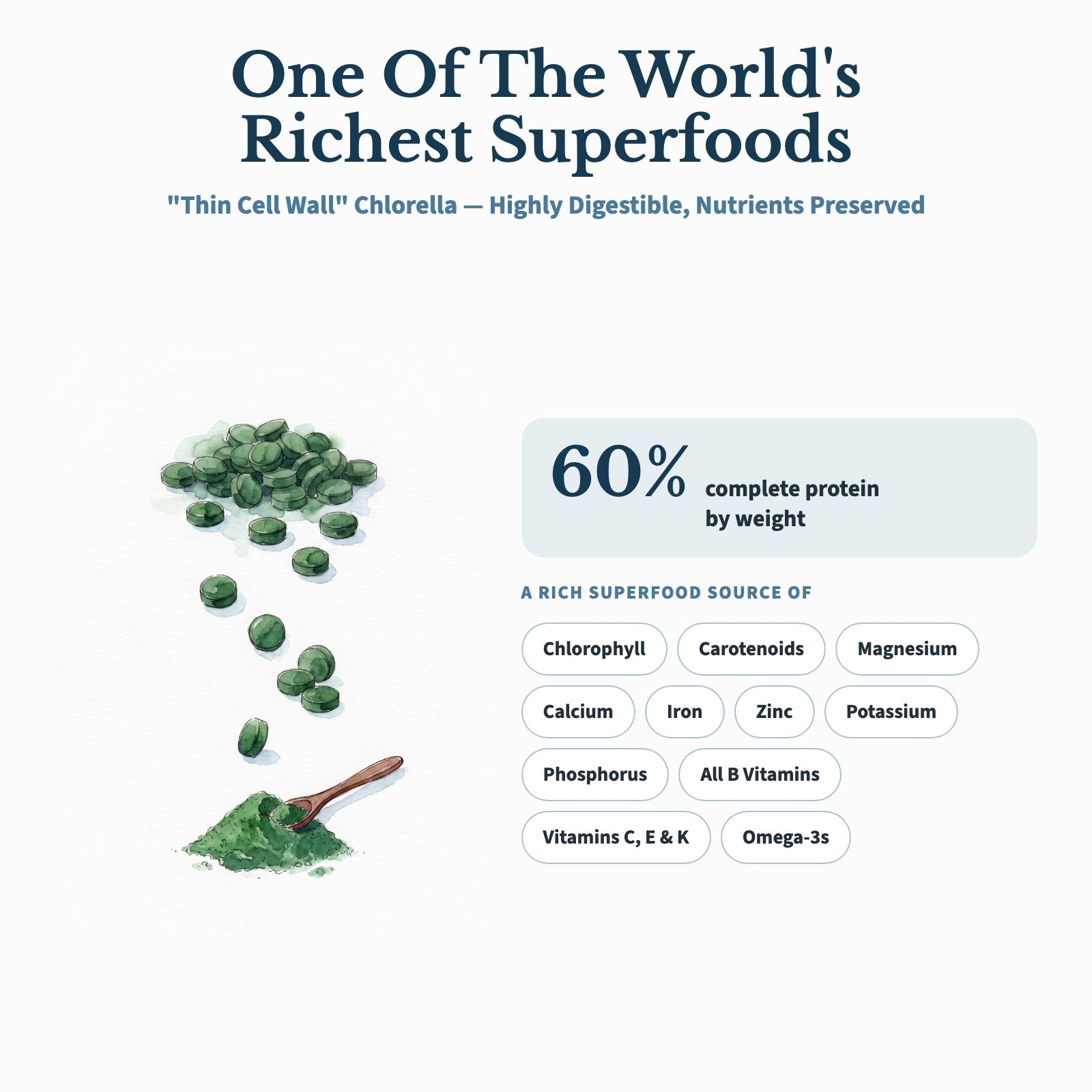 Chlorella Tablets (1700 Tablets) detail