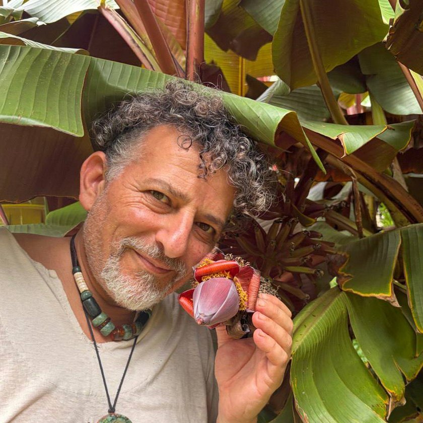 David Avocado Wolfe